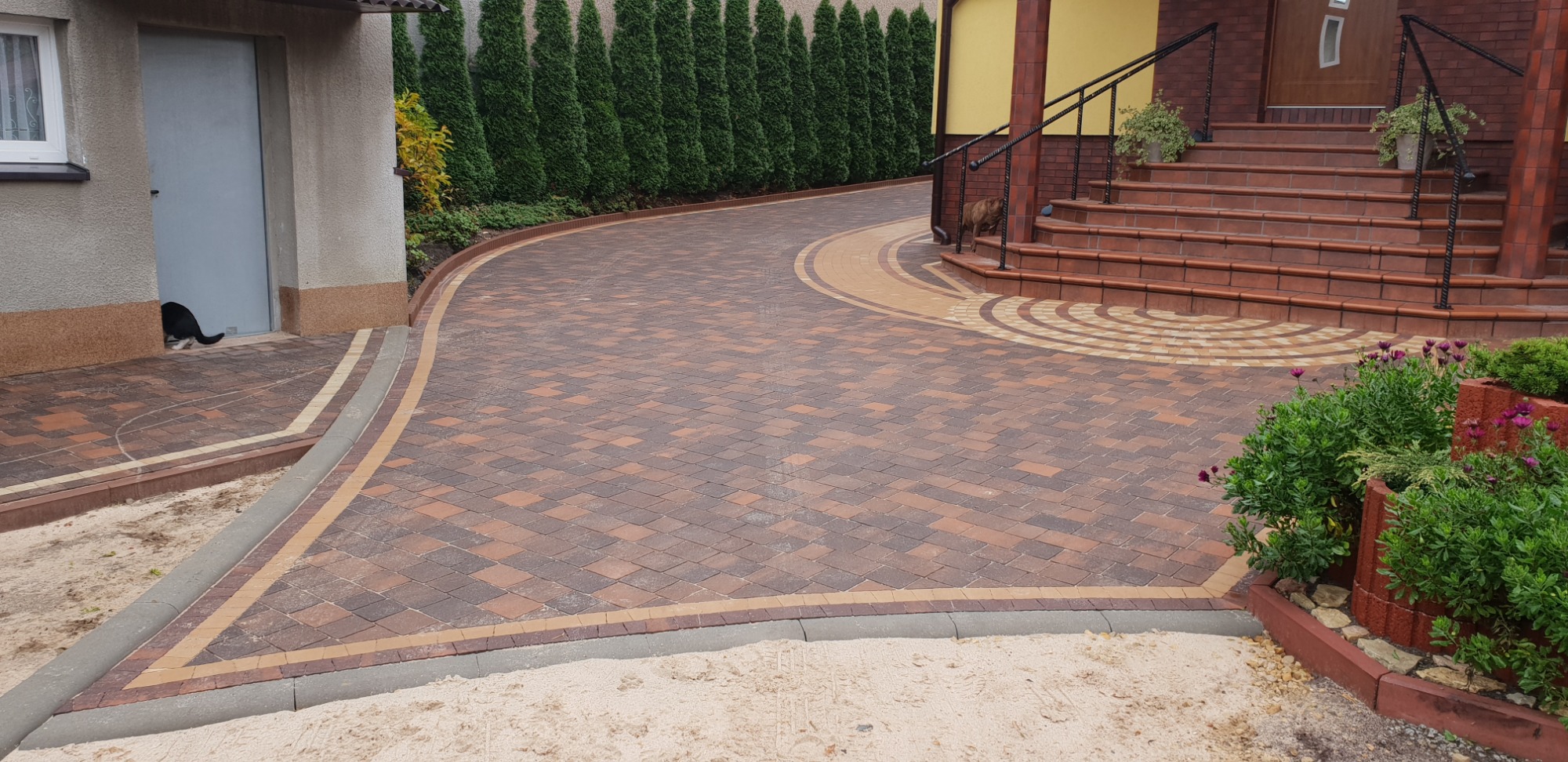Ukończona ścieżka z kostki brukowej prowadząca do schodów wejściowych domu, z widocznym fragmentem budynku z szarymi drzwiami, tujami w tle i kotem wchodzącym do budynku.