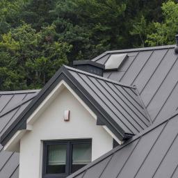 Naprawa dachów Wodynie 2