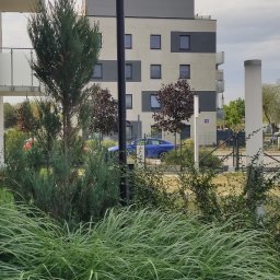 Firma Usługowo Handlowa Waldemar Słonina - Porządne Instalacje Alarmowe Ożarów Mazowiecki
