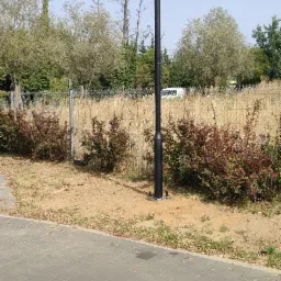 Kamera przemysłowa na czarnym słupie, zainstalowana na zewnątrz, z widocznymi krzewami i drzewami w tle. Jasne, dzienne światło.