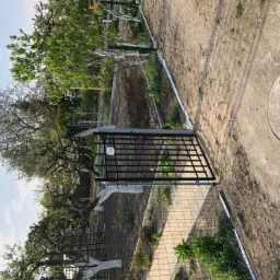 Ogród z metalową furtką i świeżo przekopaną ziemią, widoczne drzewa z bielonymi pniami i fragment betonowej ścieżki.