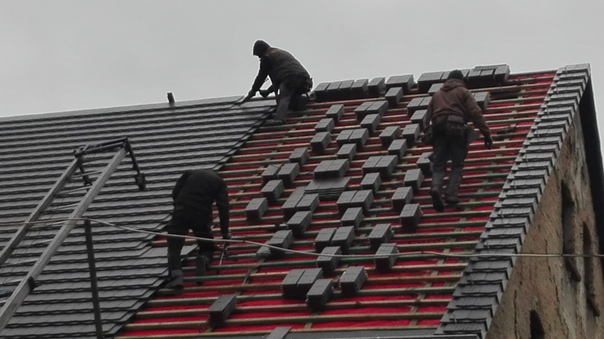 Krycie karpiówka koronka