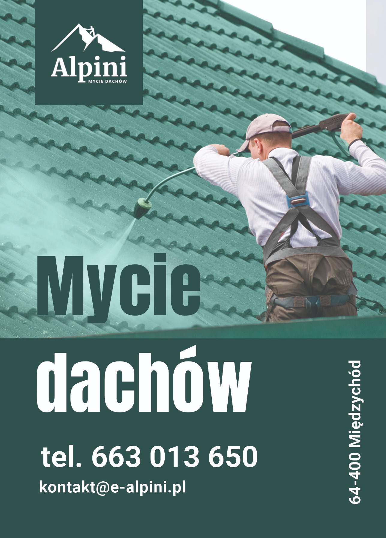 Reklama firmy Alpinini Mycie Dachów: pracownik w uprzęży myje zielony dach myjką ciśnieniową, widoczne logo, numer telefonu i adres e-mail firmy.