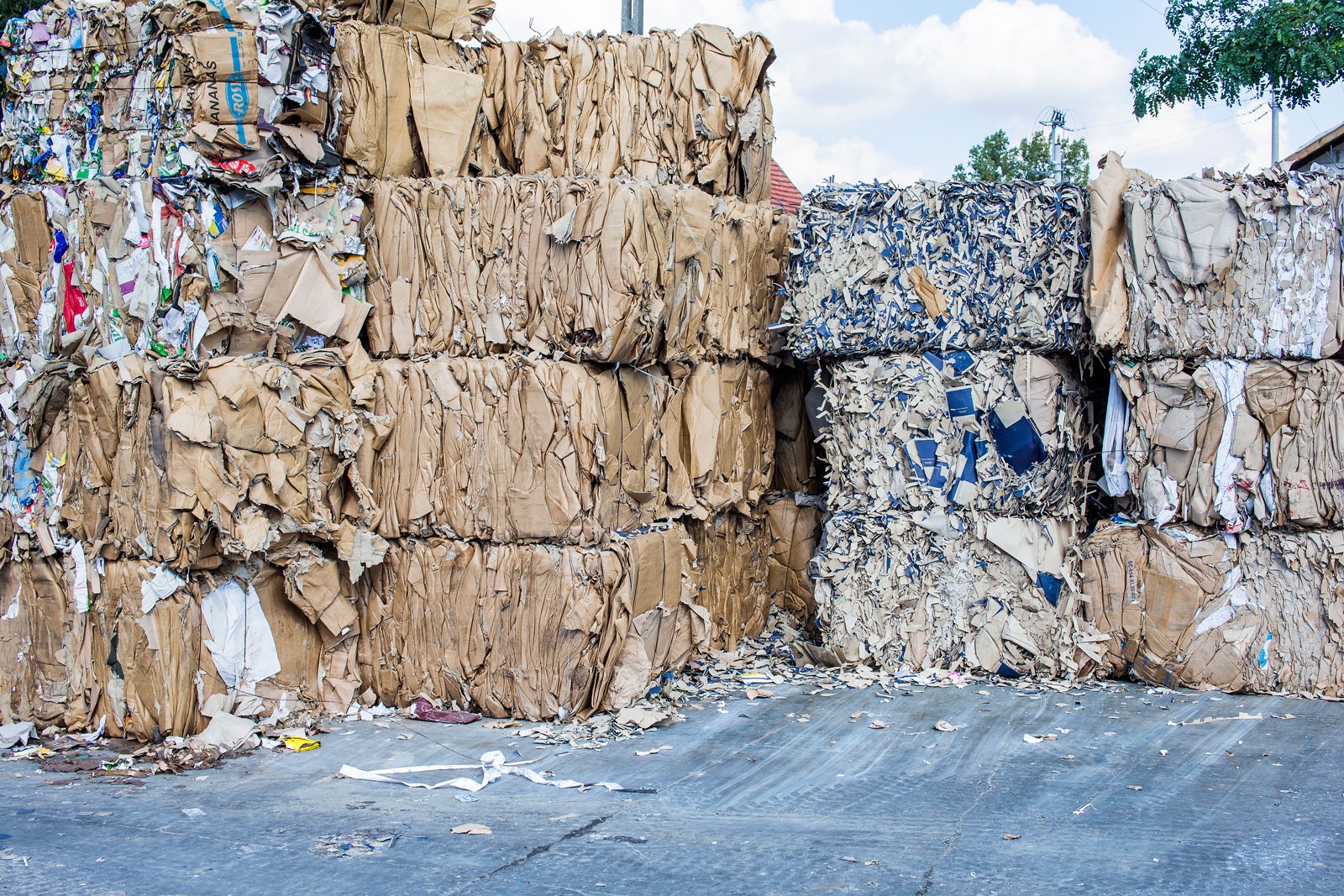 Stosy sprasowanych kartonów i makulatury, częściowo z widocznymi etykietami 'Ananas', ułożone na betonowej powierzchni, z fragmentem nieba i zieleni w tle.