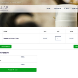 BLURNA - Ink Lab - layout, konsultacje, wdrożenie do systemu Woocommerce (CMS WordPress)
