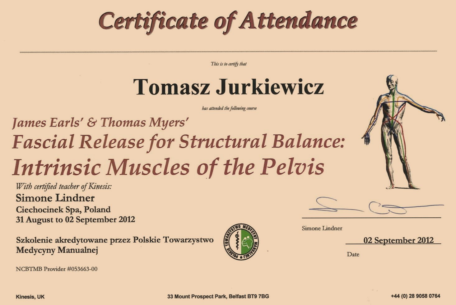 Certyfikat ukończenia kursu masażu powięziowego Tomasza Jurkiewicza, podpisany przez Simone Lindner, datowany na 2 września 2012, z ilustracją układu mięśniowego.