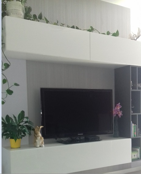 Telewizor na białej szafce RTV z dekoracjami: figurka królika, kwiaty w wazonie, doniczki z zielonymi roślinami. Na górze białe szafki wiszące z roślinami pnącymi. Szare ściany w tle.