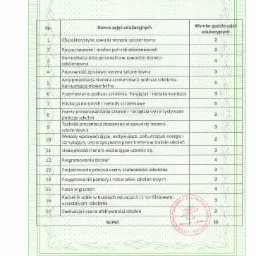 Skan suplementu do zaświadczenia o ukończeniu kursu, zawierający listę zajęć edukacyjnych i odpowiadający im wymiar godzin, z pieczątką placówki kształcenia.