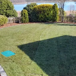 Widok z góry na świeżo założony trawnik z rolki, obrzeża z kamienia i kory, w tle widoczne drzewa i jezioro, zielona pokrywa studzienki w trawie.