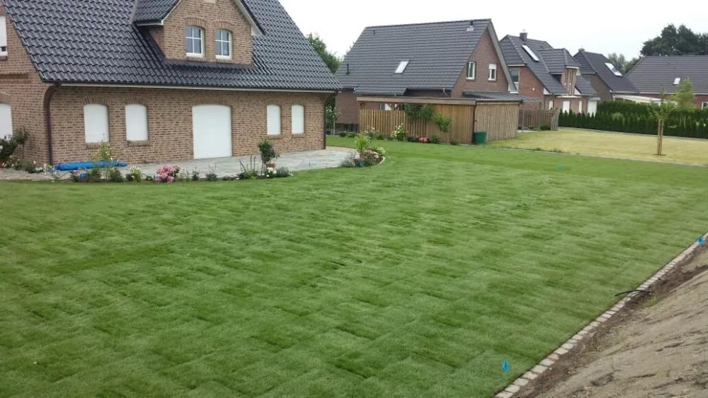 Świeżo ułożona trawa w rolkach na posesji z domem z cegły, widoczne niebieskie znaczniki i obrzeże trawnika.