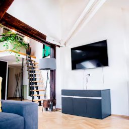 JT-KA M. I P. WĄSOWSCY SPÓŁKA JAWNA - Jasne wnętrze mieszkania z antresolą, drewnianymi belkami, schodami i telewizorem na ścianie. Minimalistyczny design z roślinami doniczkowymi i szarą sofą.