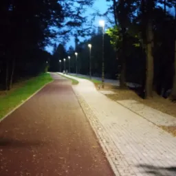 Oświetlona ścieżka rowerowa i chodnik w parku nocą, oświetlone latarniami ulicznymi, widoczne liście na ścieżce.