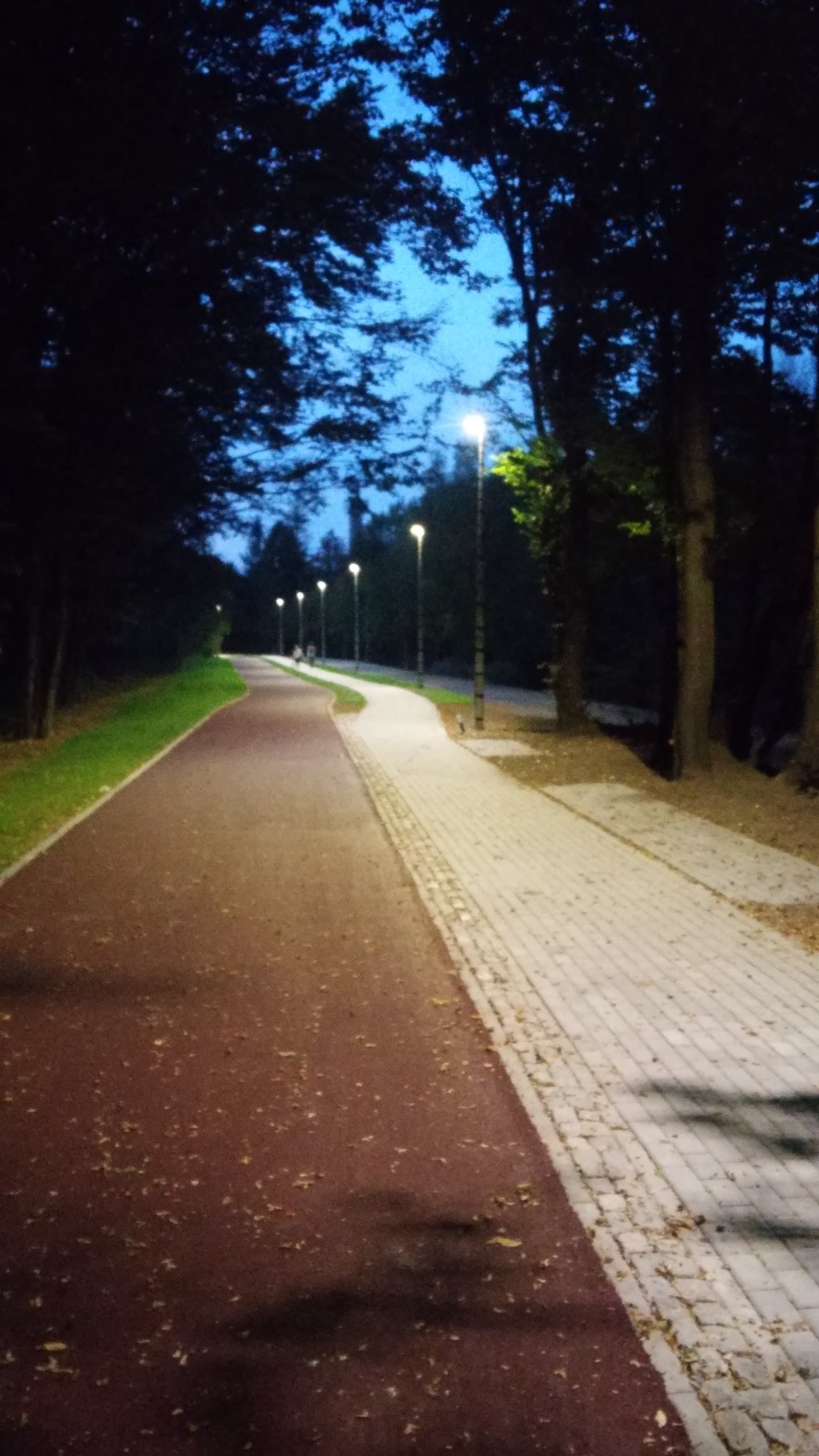 Oświetlona ścieżka rowerowa i chodnik w parku nocą, oświetlone latarniami ulicznymi, widoczne liście na ścieżce.