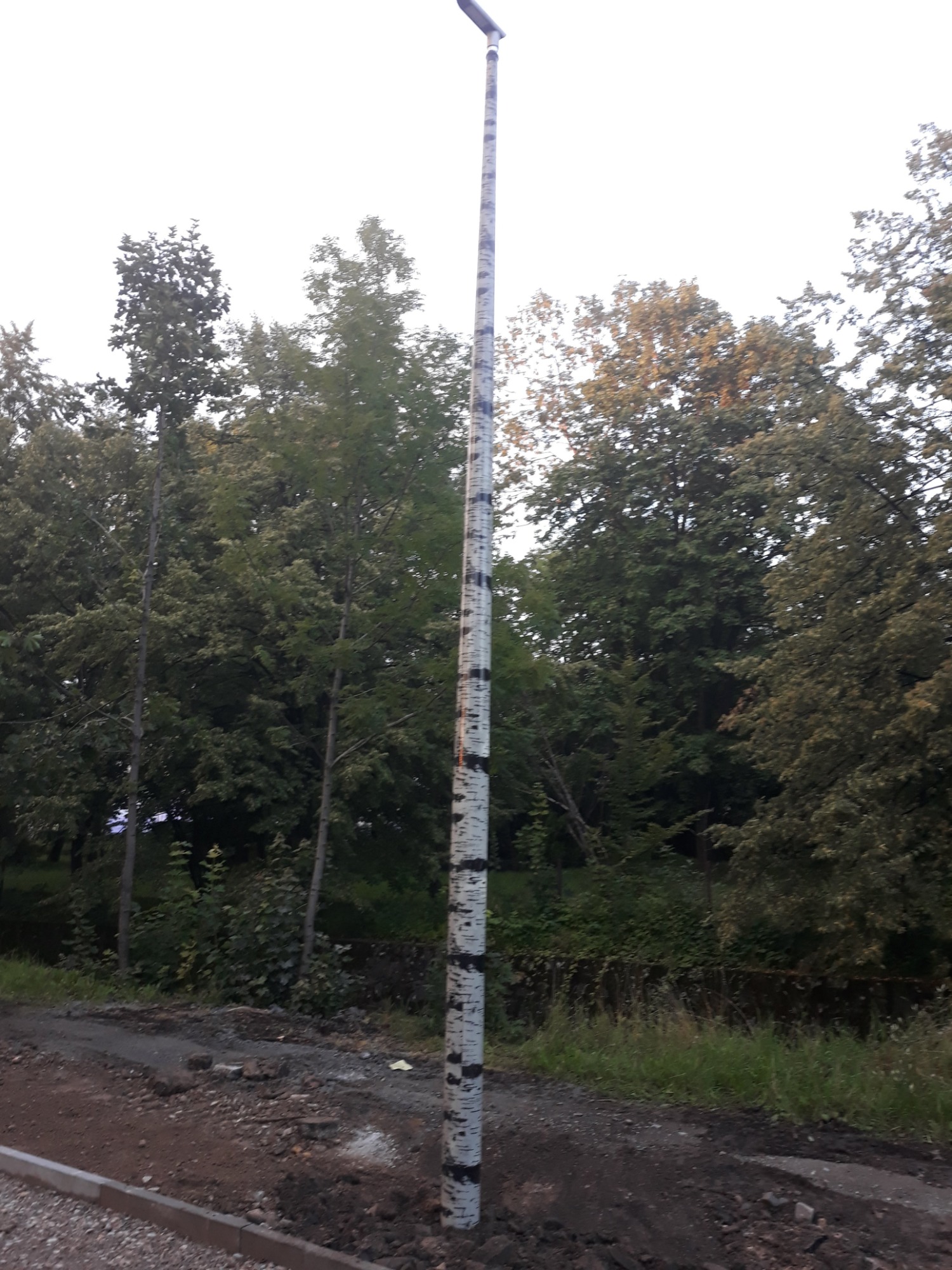 Wysoki słup oświetleniowy z czarno-białymi oznaczeniami, przypominający brzozę, ustawiony na placu budowy z widocznymi drzewami w tle.