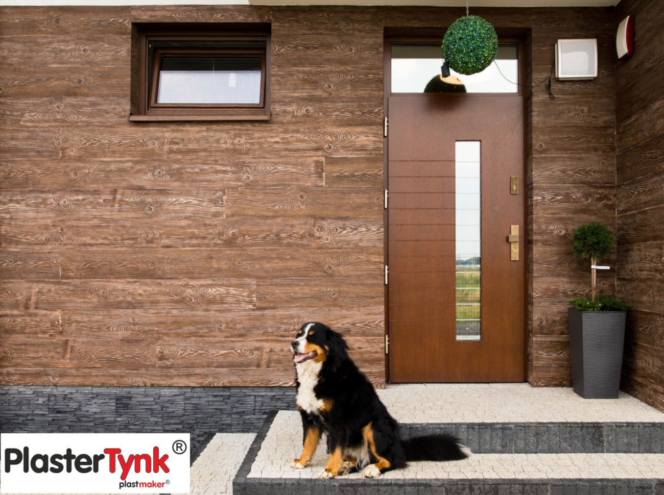 Brązowa elewacja domu z efektem drewna, ciemne okno, drzwi z przeszkleniem i pies rasy berneński pies pasterski siedzący na schodach wejściowych, widoczne logo firmy na dole.