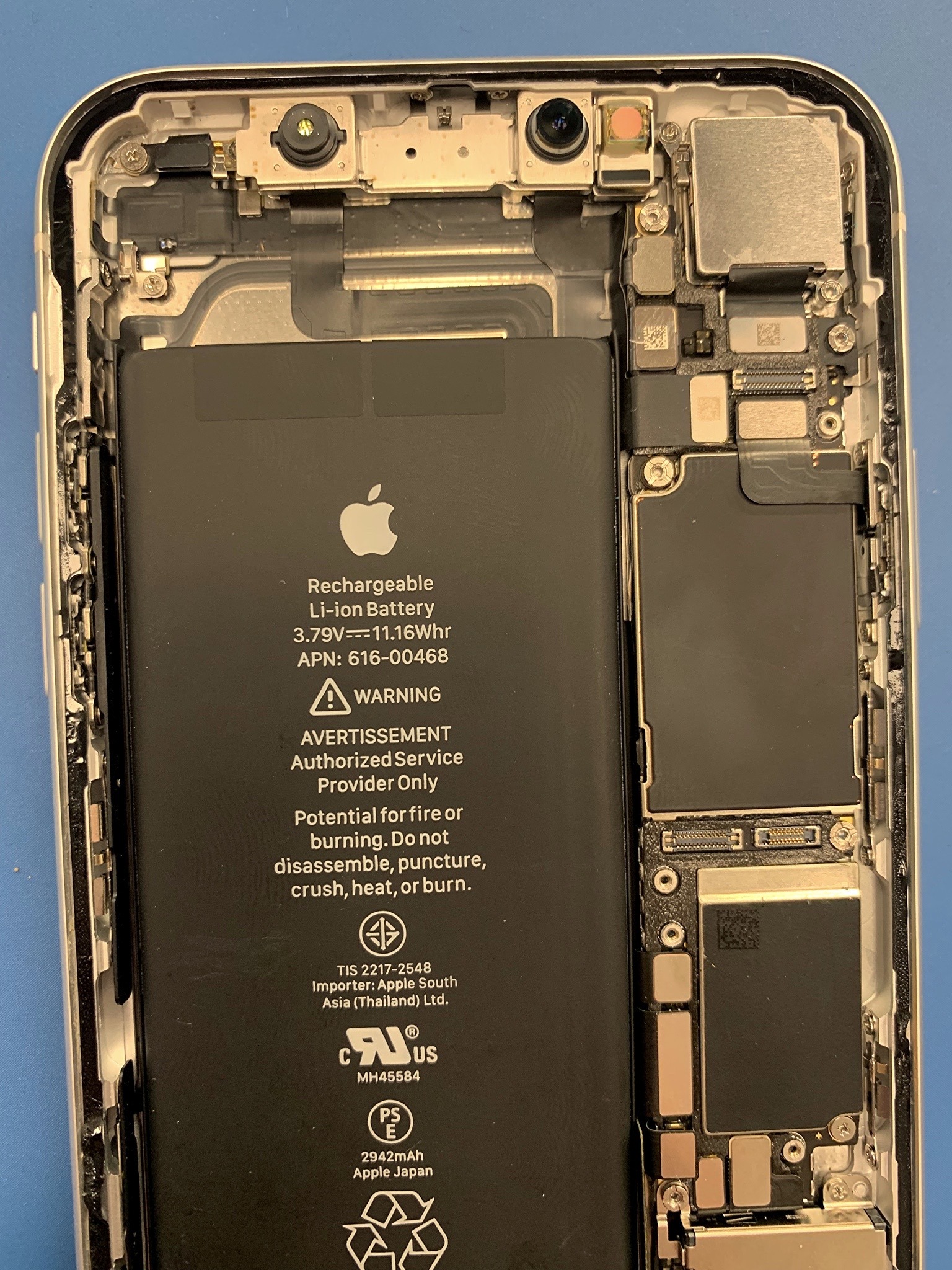 Wnętrze otwartego iPhone'a z widoczną baterią Apple i elementami elektroniki, przygotowywanego do wymiany baterii lub naprawy.