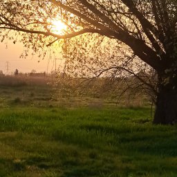 Adam Sroka Usługi Wykończeniowe