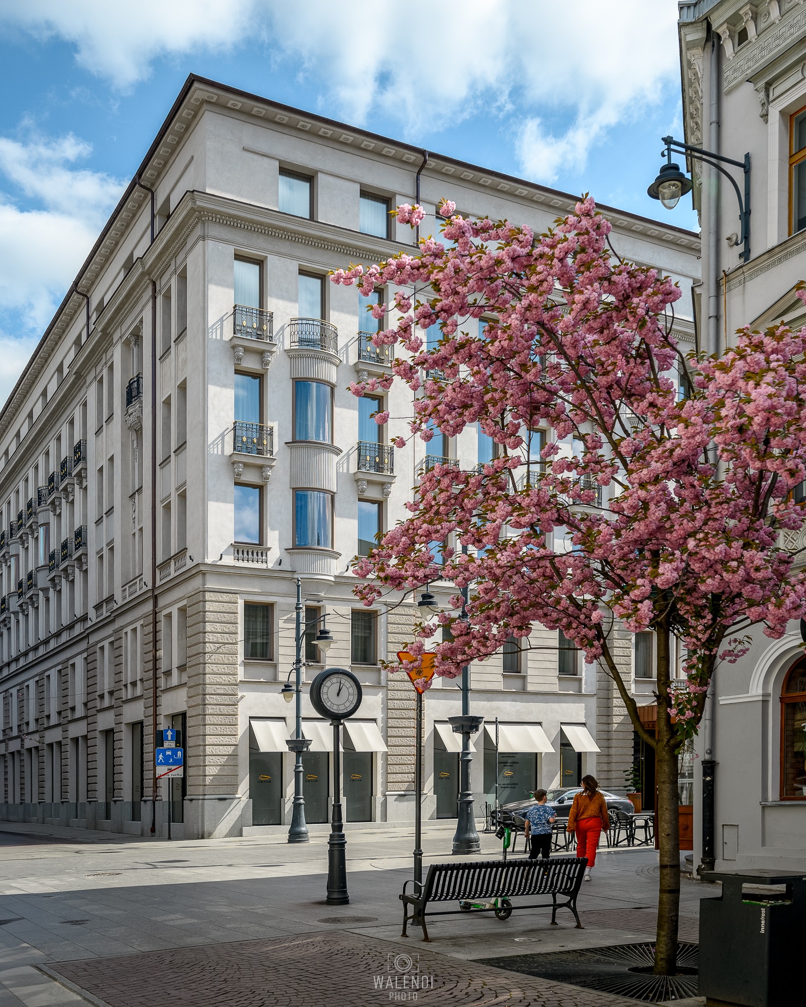 Elegancki budynek w miejskiej scenerii z kwitnącym drzewem wiśni, zegarem ulicznym i przechodzącymi osobami, sfotografowany w słoneczny dzień.