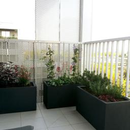 Ministerstwo Zieleni - Aranżacja balkonu z trzema dużymi, prostokątnymi donicami w kolorze antracytowym, zawierającymi różnorodne rośliny ozdobne, w tym kwitnące pnącza, zioła i krzewy iglaste, na tle ażurowej balustrady.