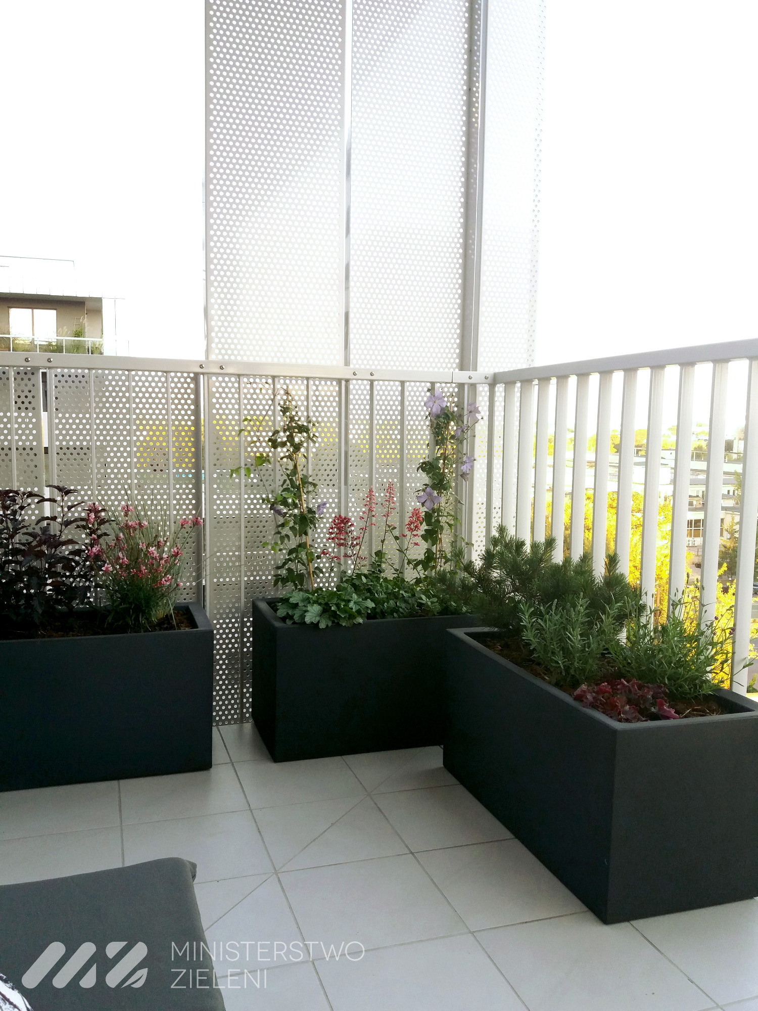 Aranżacja balkonu z trzema dużymi, prostokątnymi donicami w kolorze antracytowym, zawierającymi różnorodne rośliny ozdobne, w tym kwitnące pnącza, zioła i krzewy iglaste, na tle ażurowej balustrady.