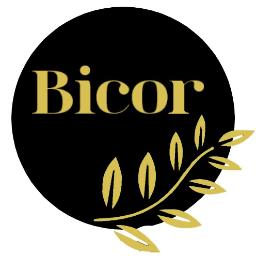 Bicor - Układanie Granitu Olsztyn