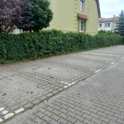 ADASTE sp. z o.o. - Prace ogrodnicze - małe i duże. Opieka nad zielenią dla wspólnot mieszkaniowych.