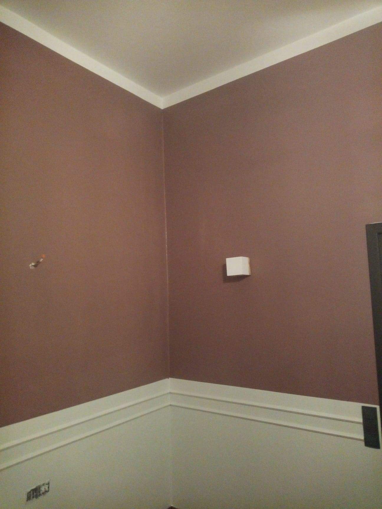 Pomieszczenie po malowaniu ścian na brązowo z białymi listwami przypodłogowymi i sufitowymi; widoczny fragment drzwi oraz wystający uchwyt na papier toaletowy.