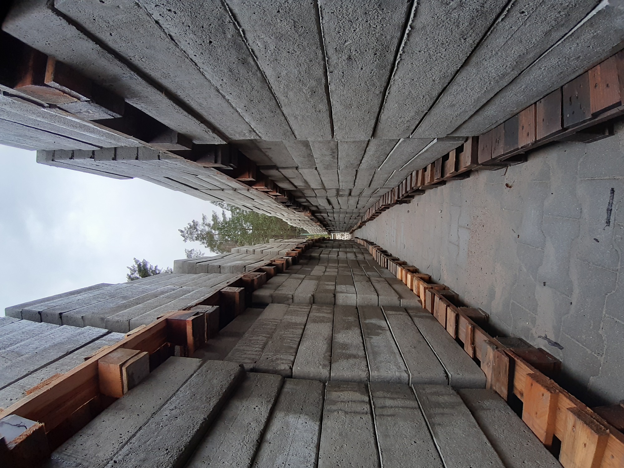 Magazynowane płyty drogowe ułożone na drewnianych paletach, widok w perspektywie z dołu, z widocznym fragmentem nieba i drzew