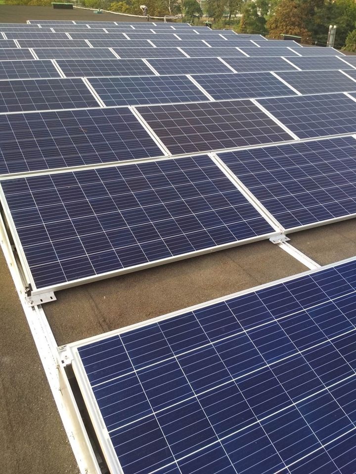 Rząd paneli słonecznych na dachu, widoczne białe ramy i mocowania, tło stanowią drzewa.