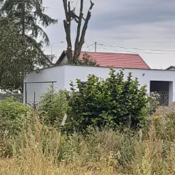 Arborysta w uprzęży, w trakcie pracy na wysokim drzewie, po częściowej redukcji korony, na tle budynku z czerwoną dachówką i zachmurzonego nieba.