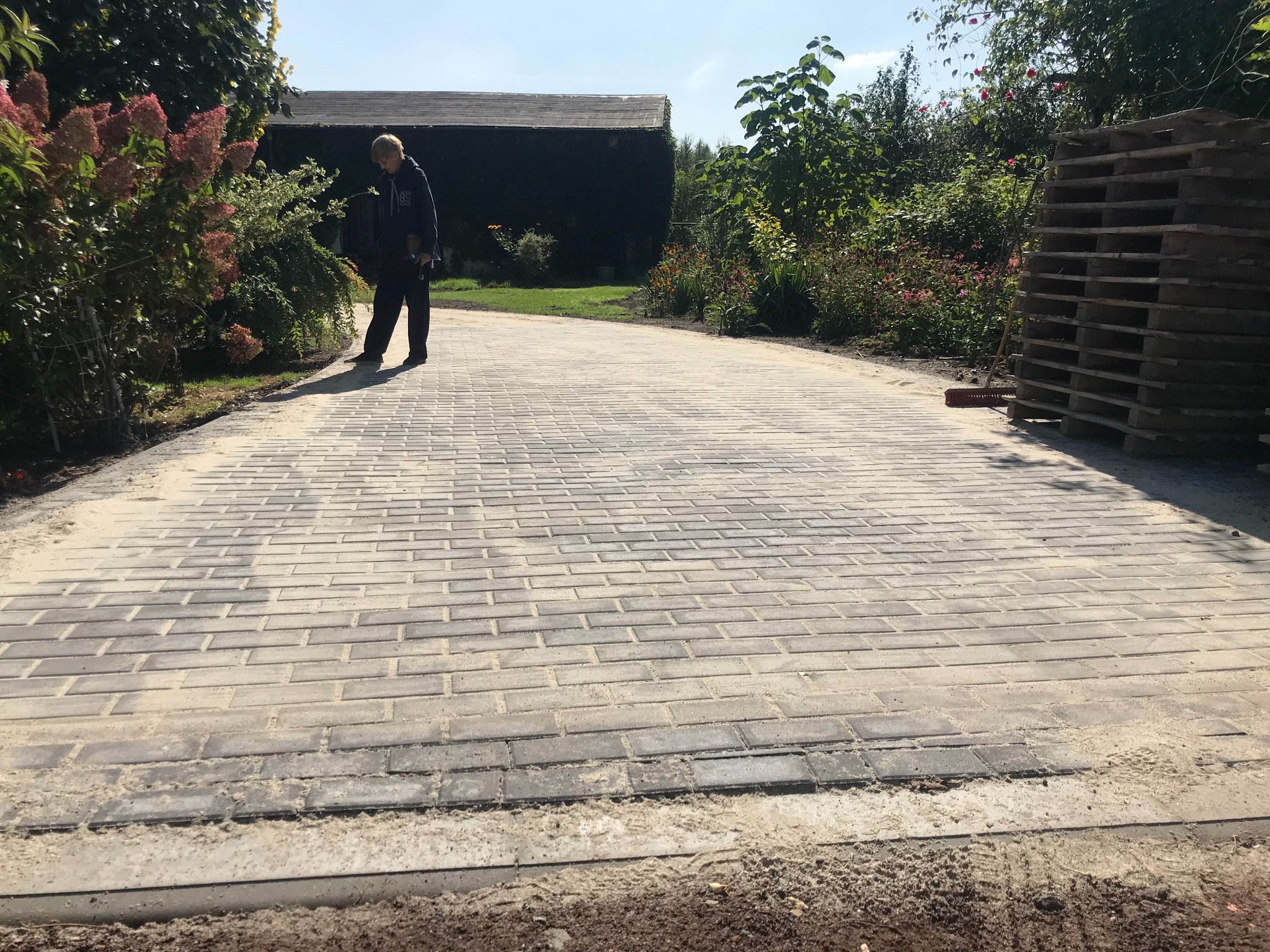 Nowo ułożona, szara kostka brukowa w kształcie cegiełek, z widocznymi śladami piasku, tworząca ścieżkę w ogrodzie; w tle budynek gospodarczy porośnięty bluszczem i osoba w ciemnej bluzie.