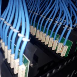 Instal-Tech - Rząd niebieskich kabli sieciowych patchcord, starannie podłączonych do portów w panelu krosowym, z numerowanymi oznaczeniami nad każdym kablem, tworząc uporządkowaną infrastrukturę sieciową.