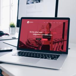 Strony internetowe Sadlno 2