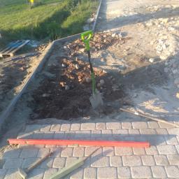 Pew-bud - Układanie kostki brukowej na podsypce piaskowej, widoczna poziomica, łopata z zieloną rączką i młotek brukarski