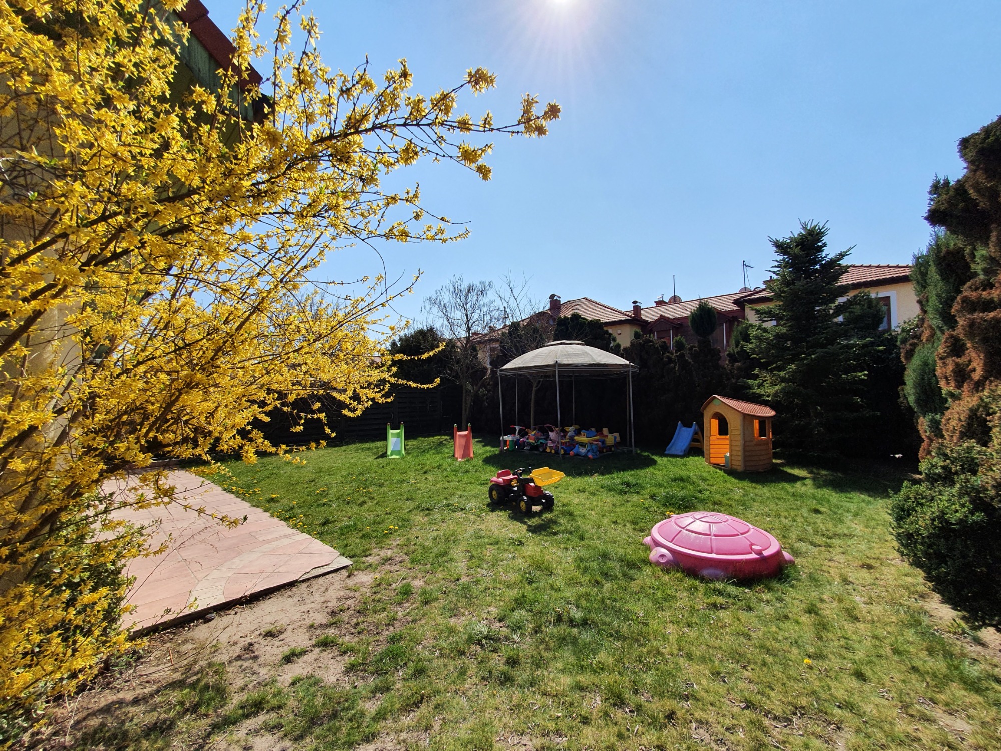 Słoneczny plac zabaw na trawie z żółtą forsycją w rogu, widoczna altana, domek, zjeżdżalnie i zabawki