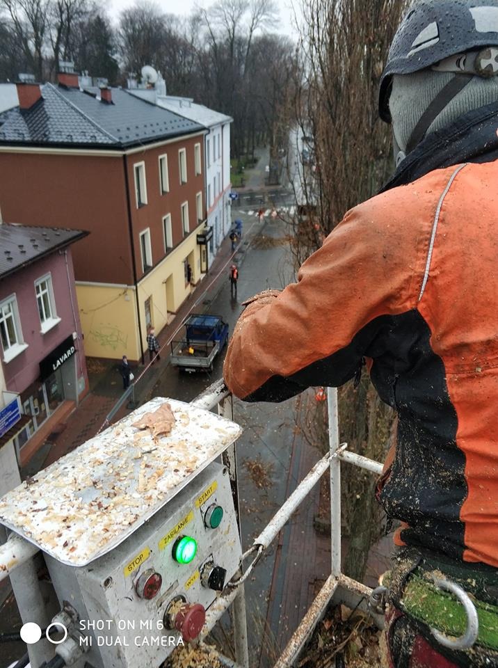 Pracownik w pomarańczowej kurtce i kasku, na podnośniku koszowym, kontroluje panel sterowania z włączonym zielonym światłem, podczas prac na wysokości w otoczeniu miejskiej ulicy z drzewami...
