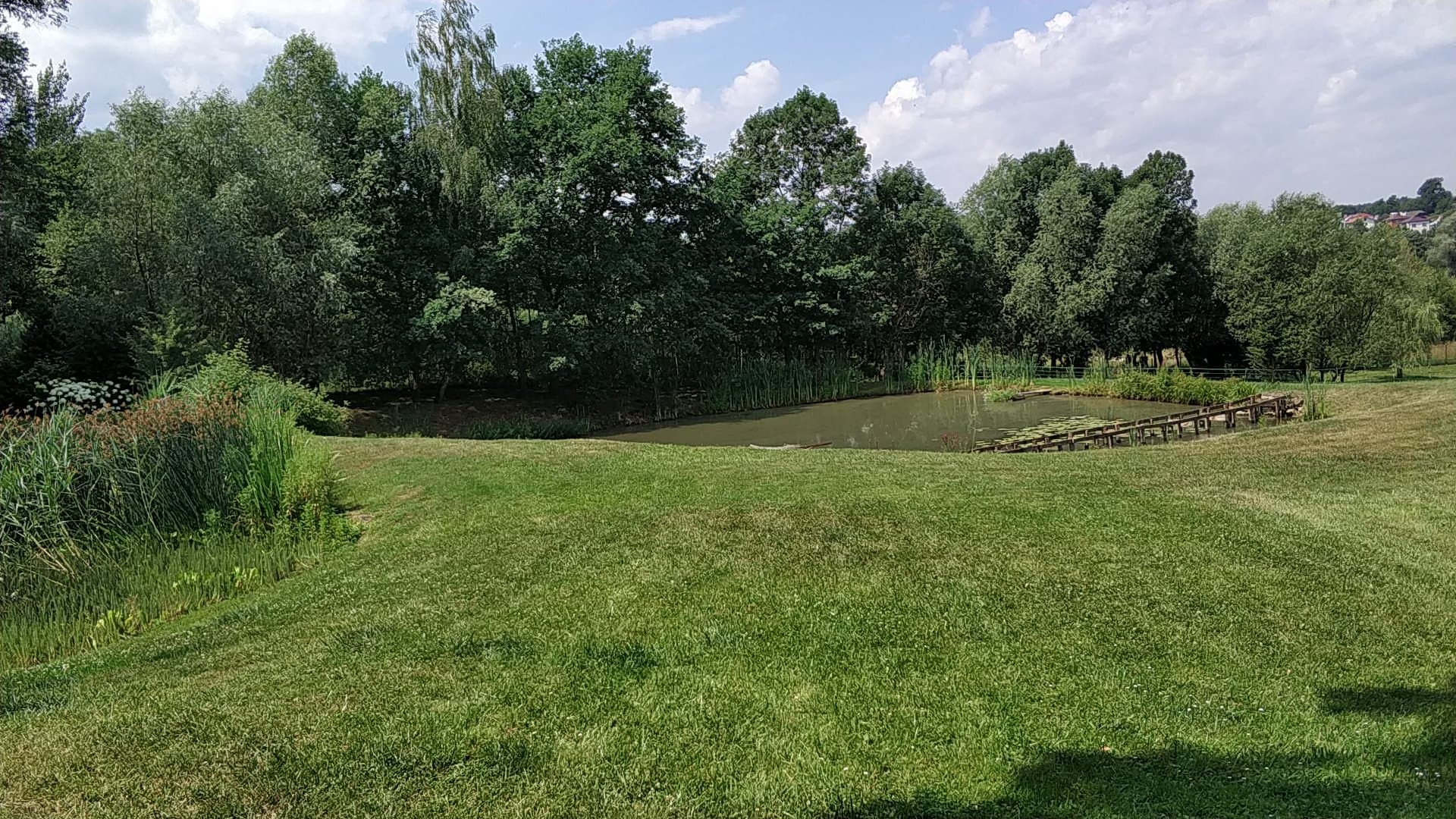 Malowniczy krajobraz z zielonym trawnikiem schodzącym w kierunku stawu z drewnianym pomostem, otoczonego bujną roślinnością i drzewami.