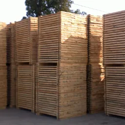 Sztaple drewnianych palet Euro/Epal składowane na zewnątrz, widoczne w perspektywie niskiego kąta, oświetlone światłem słonecznym.