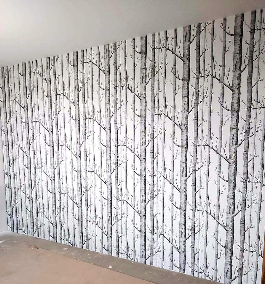 Ściana wykończona tapetą z motywem brzozowego lasu, widok z niskiego kąta, surowa podłoga w tle.