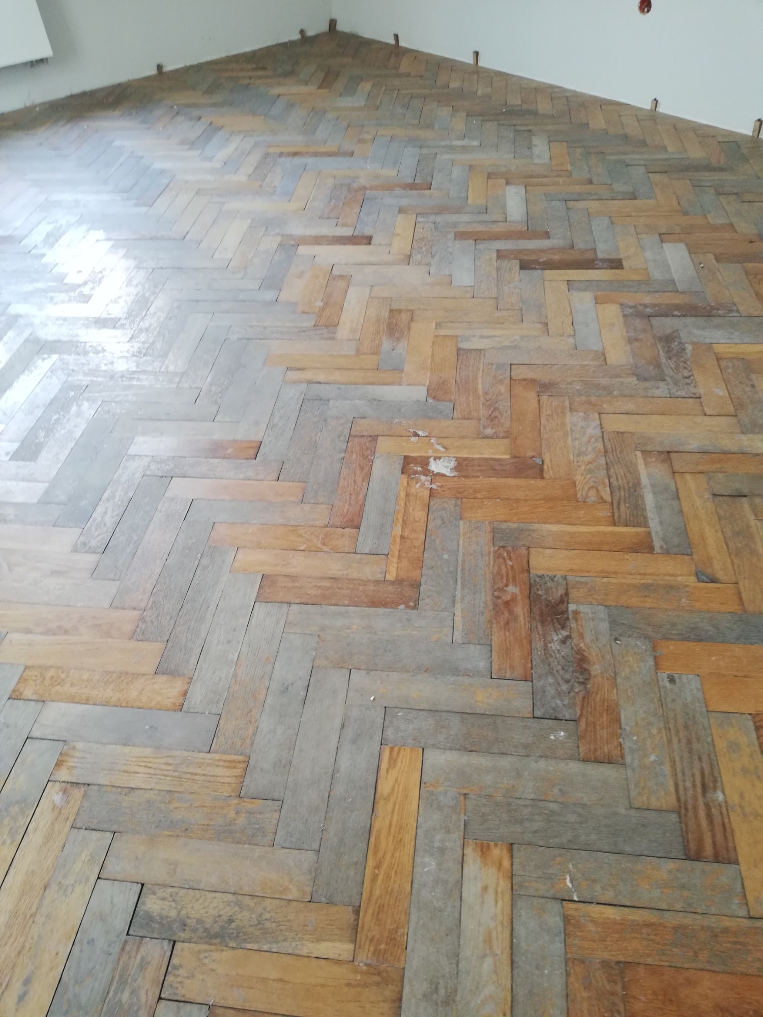 Parkiet ułożony w jodełkę, częściowo przeszlifowany, z widocznymi śladami starej powłoki i przygotowany do dalszej obróbki.