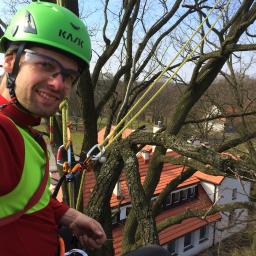 ARBORTECH Karol Mikulski - Drewno kominkowe Konstancin-Jeziorna