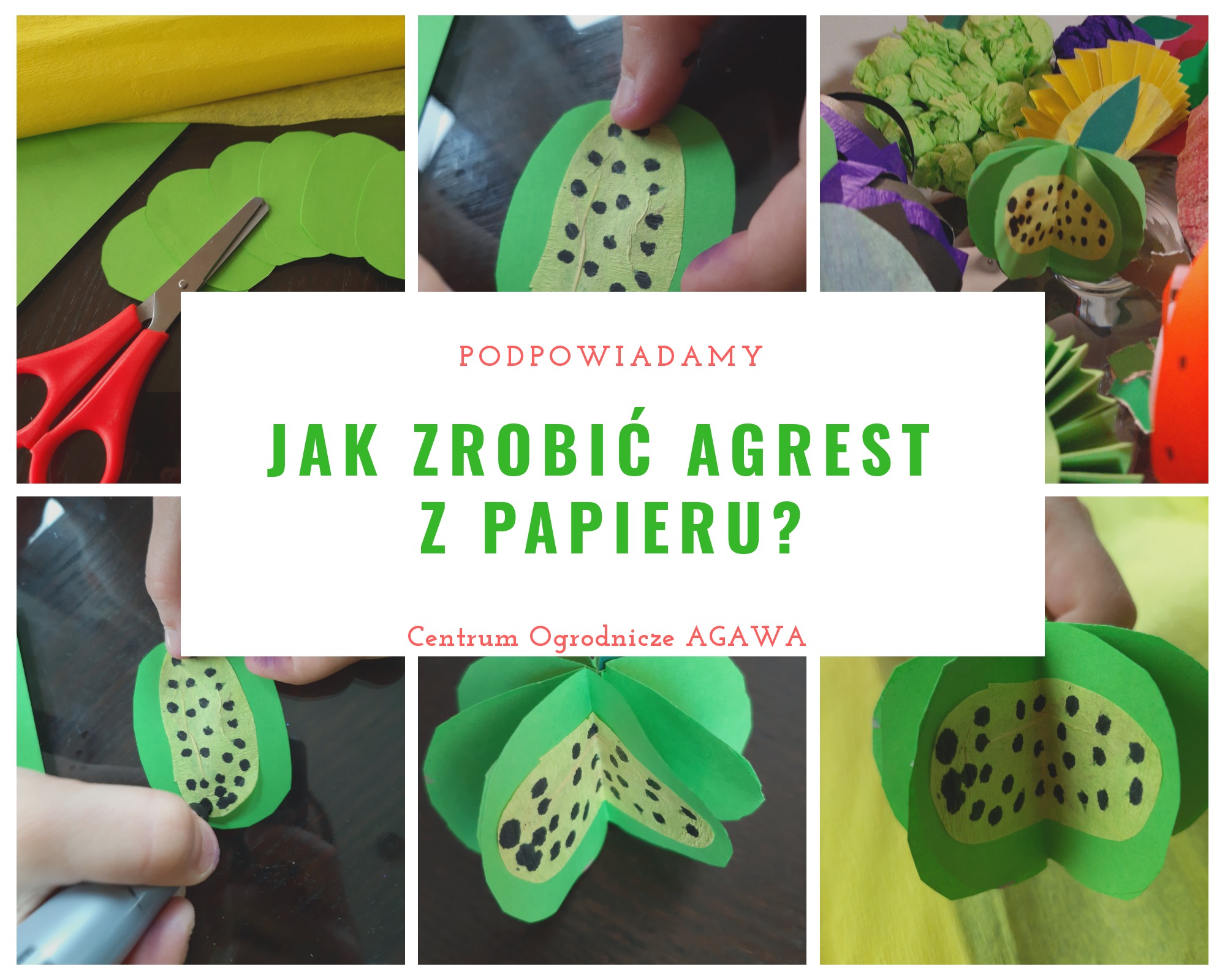 Edukacja i rozrywka dla dzieci