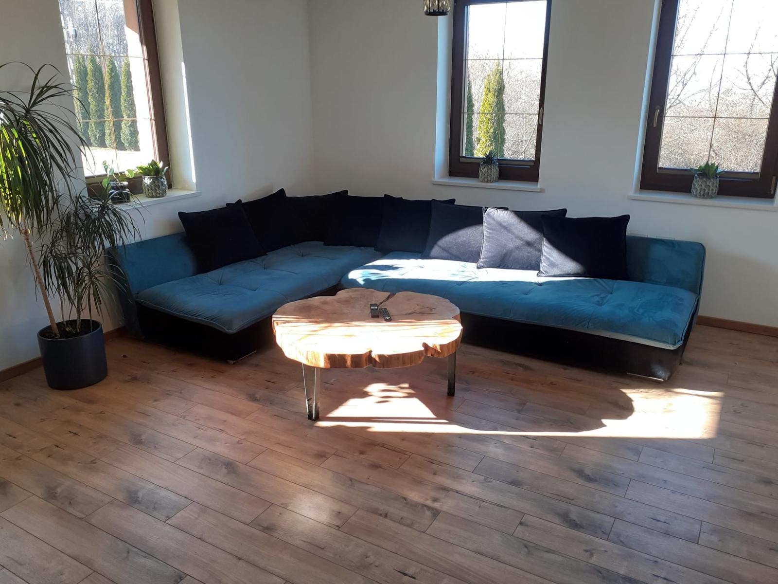 Jasne wnętrze pokoju dziennego z drewnianą podłogą, narożną sofą w odcieniach niebieskiego i czerni oraz unikatowym stolikiem kawowym z plastra drewna na metalowych nogach