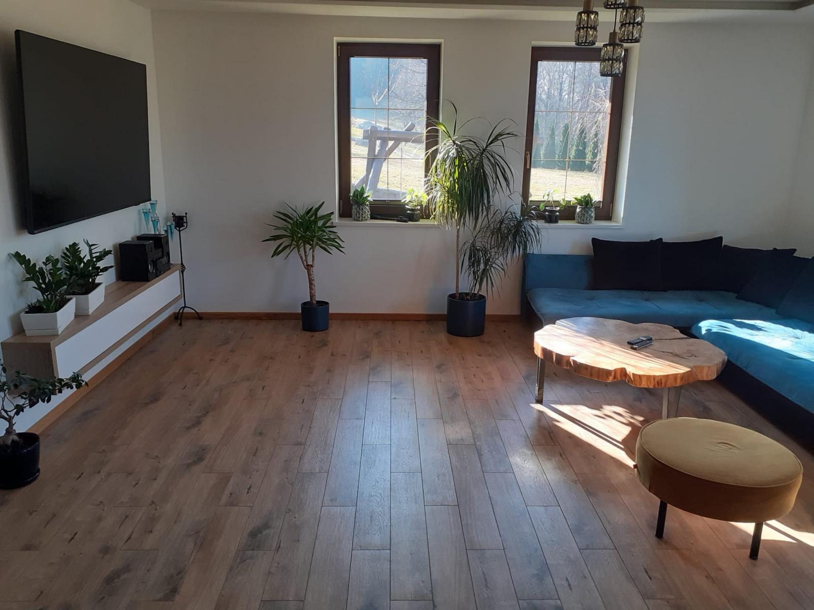 Jasne wnętrze salonu z drewnianą podłogą, niebieską sofą narożną, stolikiem kawowym z blatem z plastra drewna i licznymi roślinami doniczkowymi w pobliżu okien.