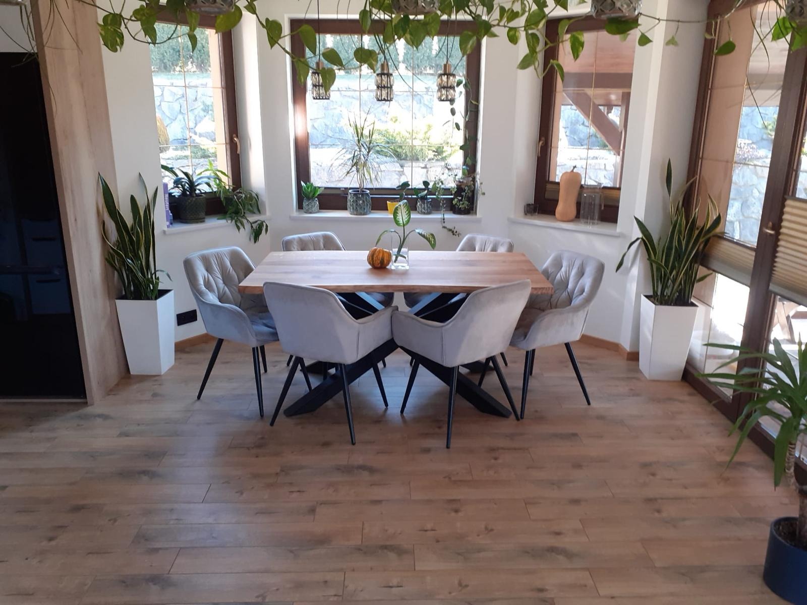 Jasne wnętrze jadalni z drewnianym stołem na metalowej podstawie i sześcioma szarymi krzesłami, drewniana podłoga, rośliny w doniczkach na parapecie i wiszące pnącza, naturalne światło wpadające...