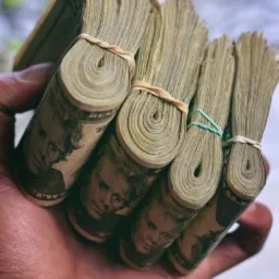 Dłoń trzymająca zwitki banknotów, każdy zwinięty i zabezpieczony gumką recepturką.