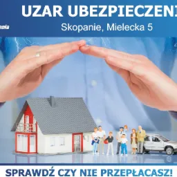 Dłonie tworzą dach nad miniaturowym domem, rodziną i samochodem, symbolizując ochronę; w tle błyskawice i logo firmy ubezpieczeniowej.