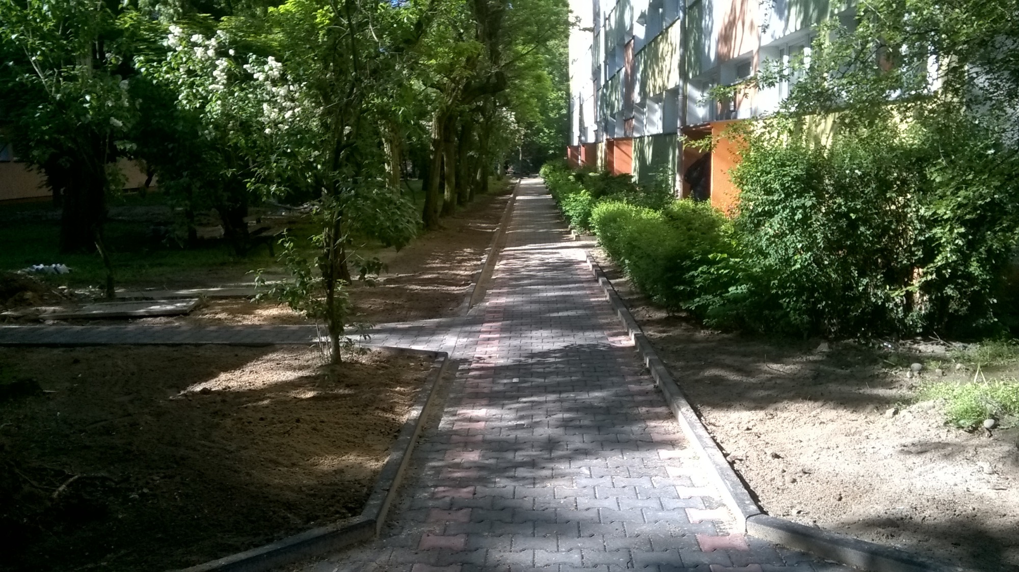 Długa ścieżka z kostki brukowej prowadząca wzdłuż budynku mieszkalnego z drzewami po bokach, widoczna świeżo przygotowana ziemia pod przyszłe nasadzenia.