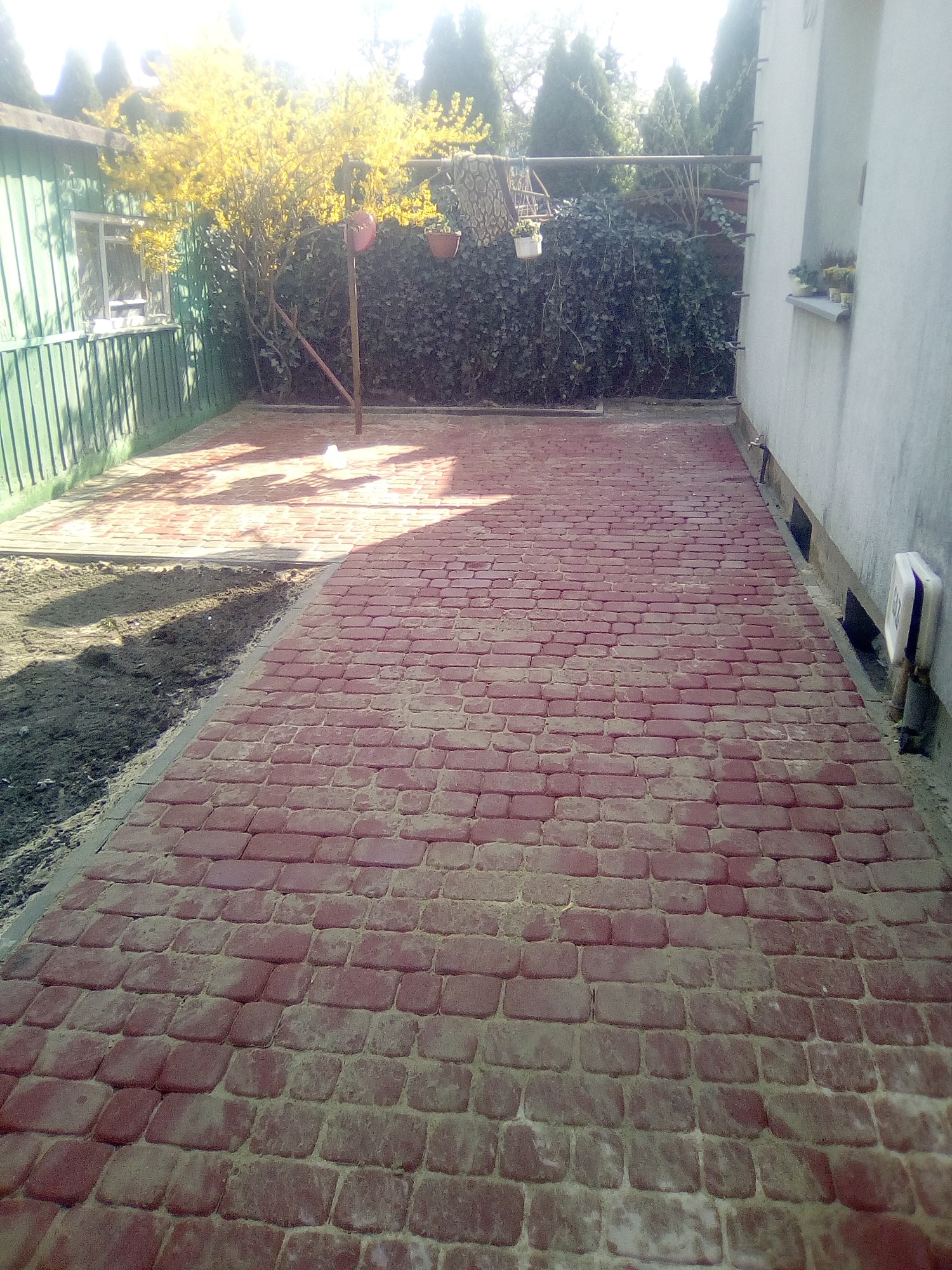 Czerwona kostka brukowa ułożona na podwórku, obok rabata z ziemią, w tle zielony budynek gospodarczy i kwitnący krzew.