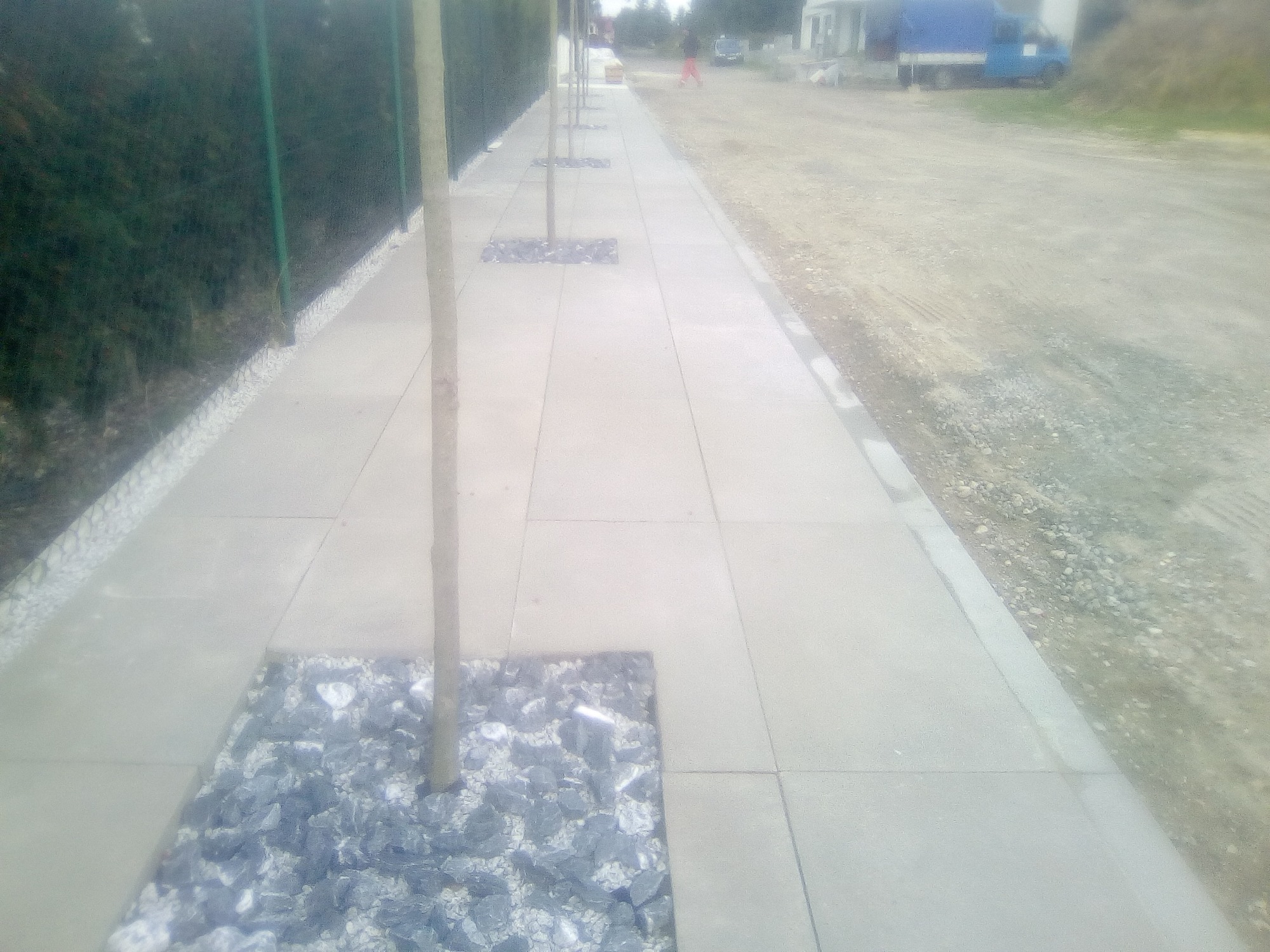 Nowoczesny chodnik z jasnoszarych płyt betonowych z wkomponowanymi drzewami otoczonymi dekoracyjnym, szarym grysem kamiennym, obok żywopłot